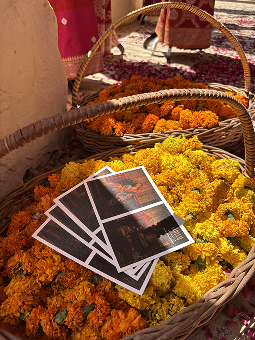 Festival Image 1